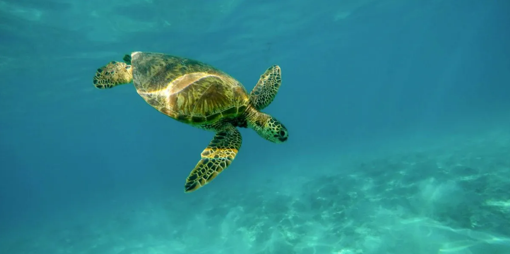 Industrial Wastewater Plant 100M3